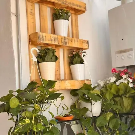 Lejlighed Casa Vacanza Lunati *